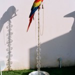 imagebam.com