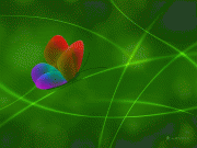 2a94c665996708.gif