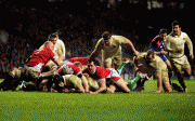 27369867038565.gif