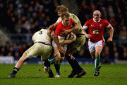 9961a267038567.gif
